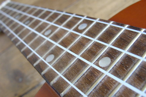 Ukulele fretboard